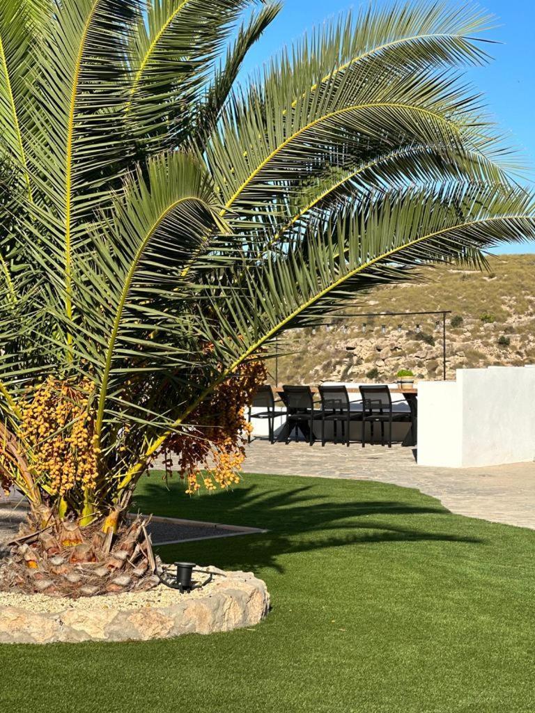 Los Palmitos Agua Amarga  Dış mekan fotoğraf